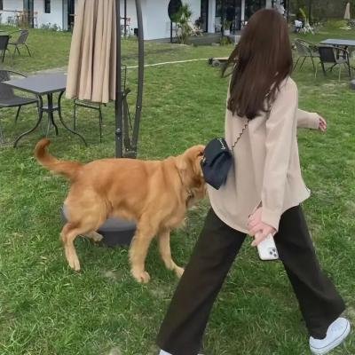 地狱来的房东海报