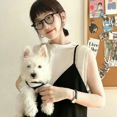 独立军海报